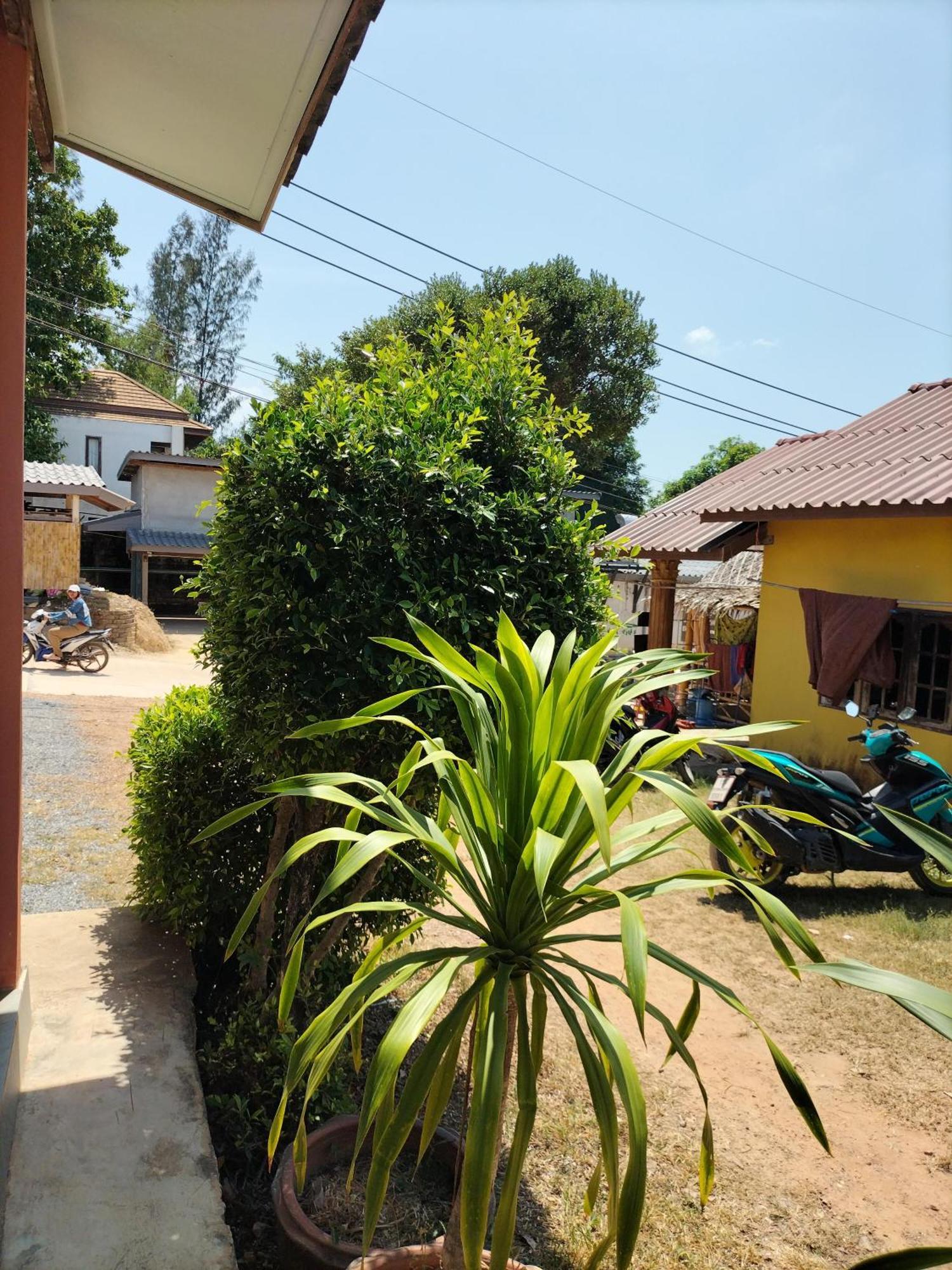 Lanta Rabbit Rooms Ko Lanta Værelse billede